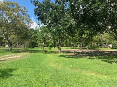 3738 County Road 158, Alvin, TX 77511 - photo 4