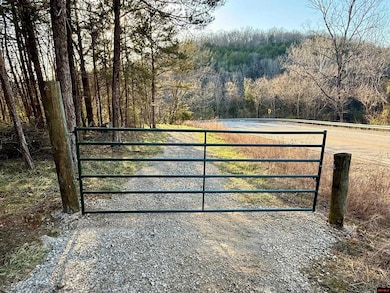 004-00632-000 Hwy 345, Cotter, AR 72626 - photo 3