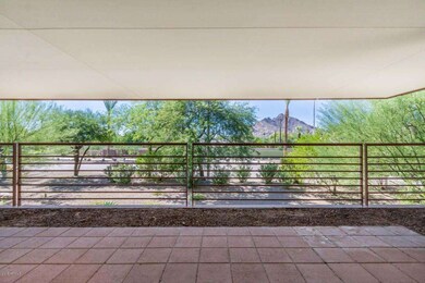 Views of Camelback