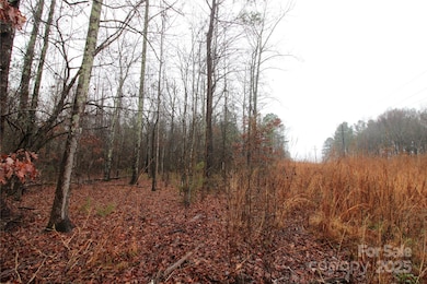 4+/-AC LOT 4 Eaker Rd, Kings Mountain, NC 28086 - photo 2