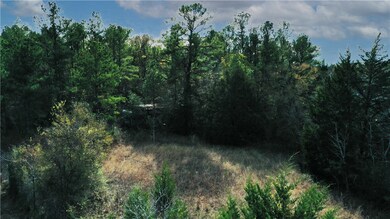 View of local wilderness