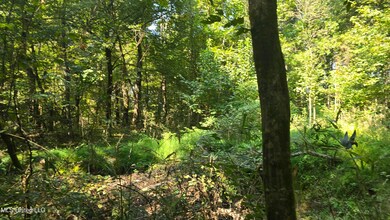 00 Nelson Corner Rd, Roxie, MS 39661 - photo 7