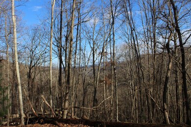 00 W Old Murphy Rd, Franklin, NC 28734 - photo 3