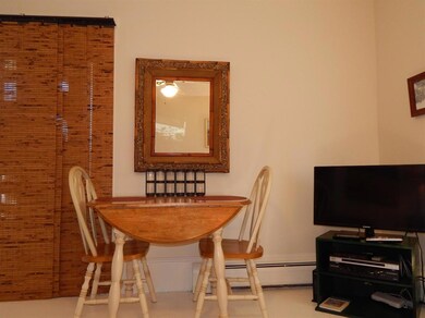 5 Brewster St unit 2, Provincetown, MA 02657 - photo 7