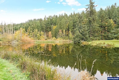 4300 Briar Knob Loop NE, Scotts Mills, OR 97375 - photo 6