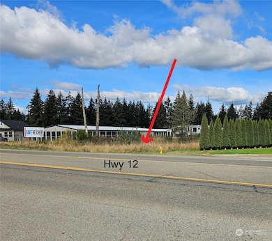 18125 Albany St SW, Rochester, WA 98579 - photo 6