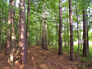 11.3 Acres on Walrath Rd, Lawrence, WI 54526 - photo 5