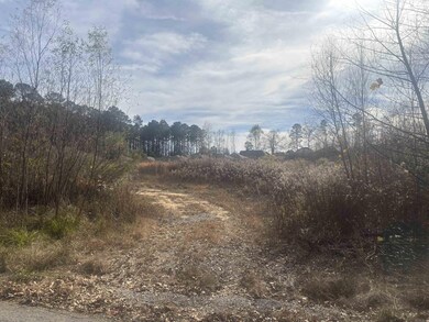 000 Sidell Rd, Benton, AR 72015 - photo 2