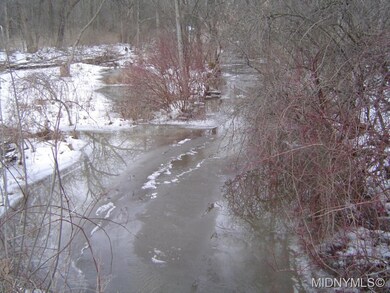 2nd View of Stream