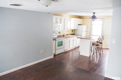 12771 Fishburn Rd unit 1, Mechanicsburg, IL 62545 - photo 4