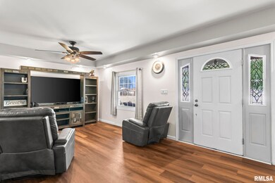 137 E Adams St, Greenview, IL 62642 - photo 5