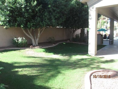 Grassy area in back yard