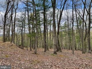 0 Hungaria Rd unit WVMO118352, Berkeley Springs, WV 25411 - photo 4