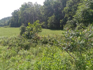 Land  #6