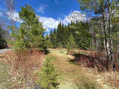 109 Summerhill Rd, Walden, VT 05873 - photo 5