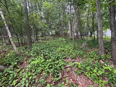 2 Selden St, Worcester, MA 01605 - photo 2