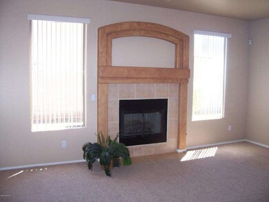 Gas Fireplace