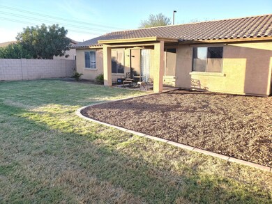 PONY BACKYARD