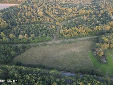 1844 Swamp Rd, Carthage, MS 39051 - photo 3