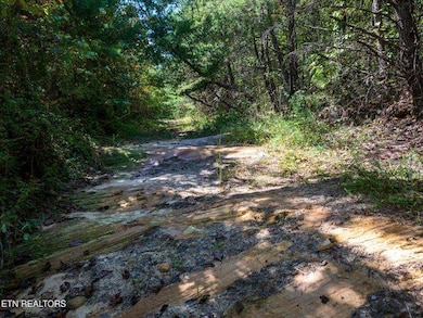 0 Tiffany Ln unit 11581088, Jamestown, TN 38556 - photo 5