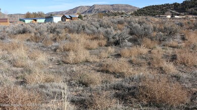 IMG_3577