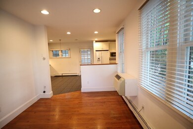 311 River St unit 1, Cambridge, MA 02139 - photo 6