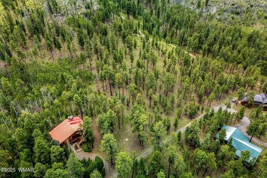 16 N1062, Greer, AZ 85927 - photo 7