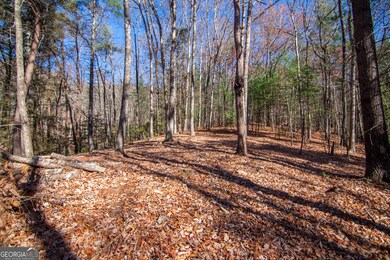 LOT 2A Clay's Way, Blue Ridge, GA 30513 - photo 7