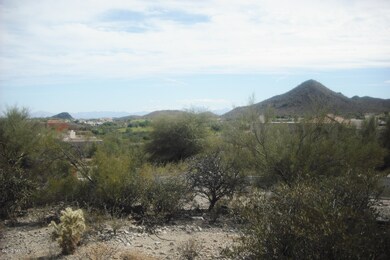 Eagles View 003
