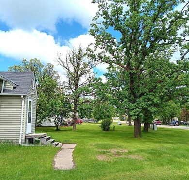 623 N Main St, Badger, MN 56714 - photo 4