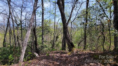 Long range mountain views