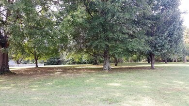 Branchview front yard