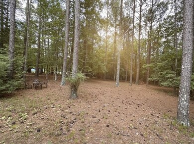None Maner Rd, Rockmart, GA 30153 - photo 4