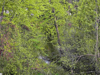 Cedar and W 12th St, Evart, MI 49631 - photo 6