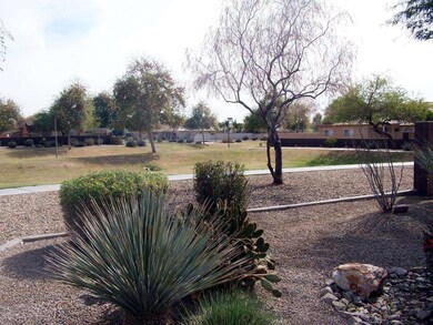 Park With Walkways