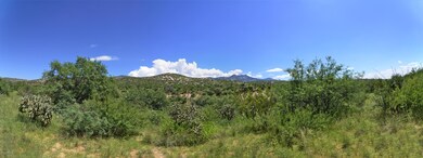 Panoramic View 2