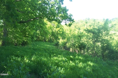 Tract 1 Chapman Hwy, Seymour, TN 37865 - photo 7