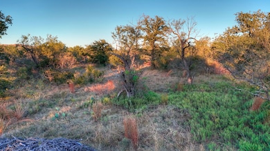18248 Bode Peak Rd, Pontotoc, TX 76856 - photo 3