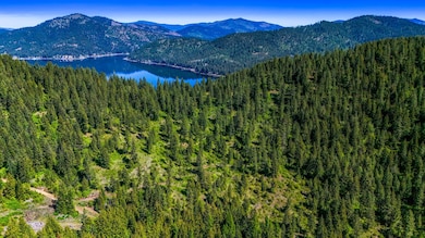 NNA E Deer Lake Way, Loon Lake, WA 99148 - photo 3