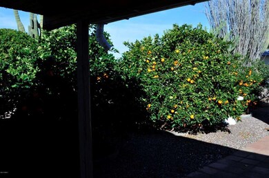 Dodge Street Abundant Fruit Trees