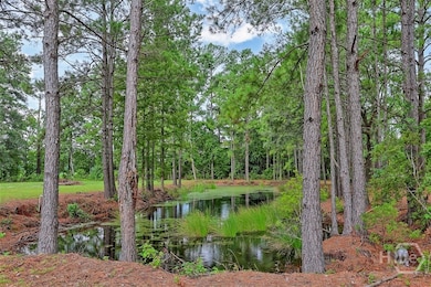 3980 Ga Highway 119 N, Pembroke, GA 31321 - photo 5