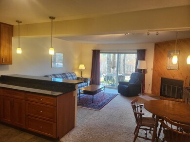 44 Mountain River Ave unit 16, Thornton, NH 03285 - photo 4