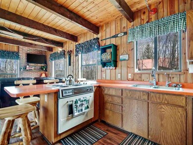 67872 Shady Ln, Collbran, CO 81624 - photo 5