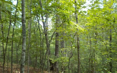 Additional View