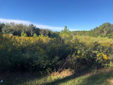 000 Pear St, Pavo, GA 31778 - photo 4