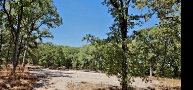 843 Jackson Trail, Azle, TX 76020 - photo 6