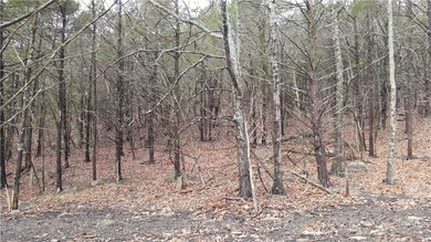 0 Willoughby Lot B Rd unit 1011775, Fayetteville, AR 72701 - photo 2