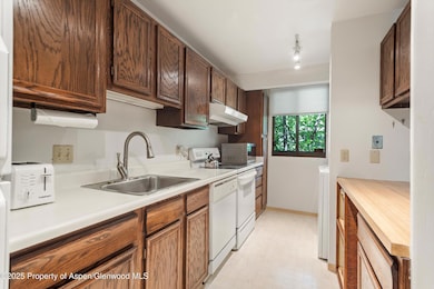 1024 E Hopkins Ave unit 16, Aspen, CO 81611 - photo 6