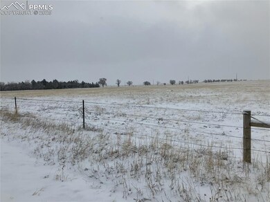 pasture