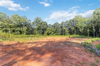 3737 Highway 20, McDonough, GA 30252 - photo 7